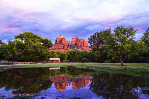 Beauty's Reflection, landscape photograph by Susie Reed